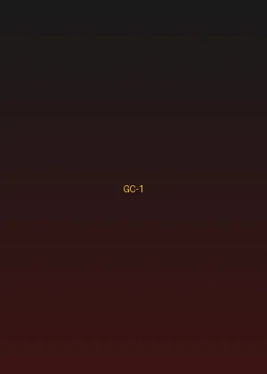 四虎影院 - 暗夜追踪海报