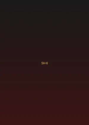 四虎影院 - 极速追击海报